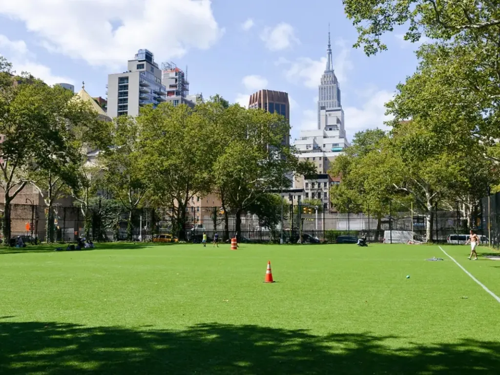 Peter's Field
