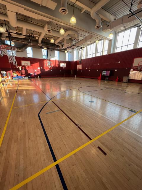 Ps 290 