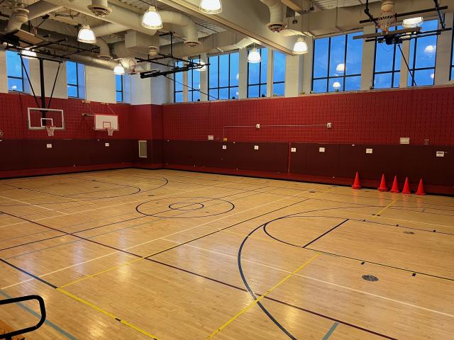 ps290